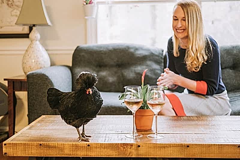 Engagement session with chicken 