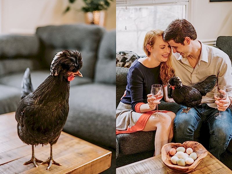 Engagement session with rooster