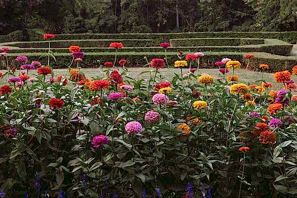 Rochester Wedding photographer geneva on the lake seneca ny fingerlakes