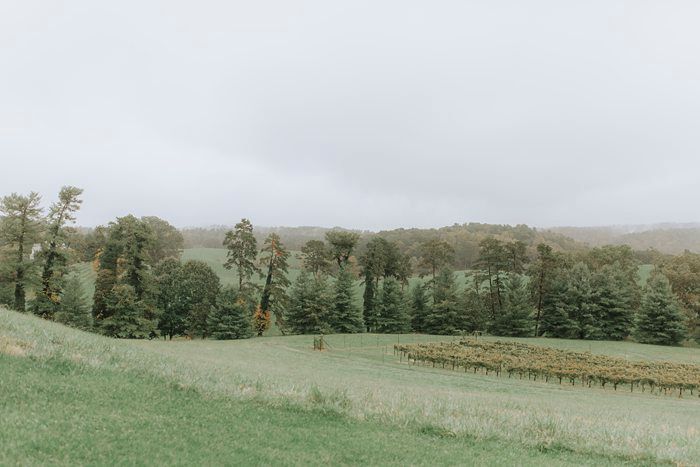 Biltmore Estate Wedding Asheville NC Wedding Photographer x