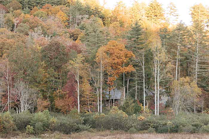 Lonesome Valley Wedding Sapphire NC Luxury Highlands Cashiers Wedding Photographer x