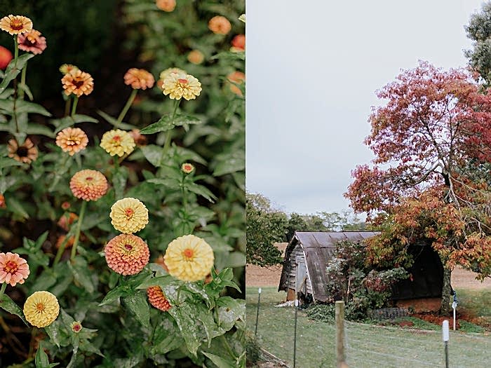 Roanoke Wedding Photographer Editorial Documentary Sperry Tented Backyard Wedding on Private Estate x